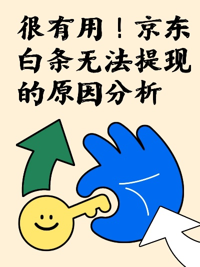 京东白条商家提现受限，案例分析与对策探讨