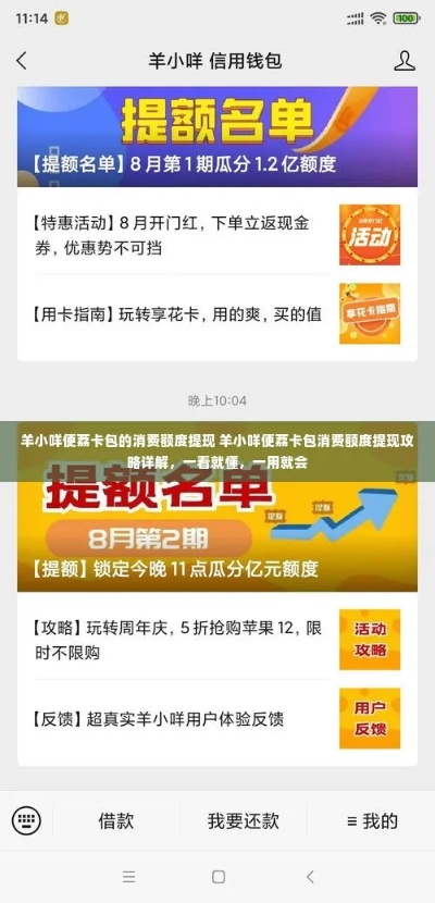 潍坊羊小咩便荔卡提现全攻略,手把手教你轻松操作,附案例与常见问题解答 潍坊羊小咩便荔卡提现全攻略,手把手教你轻松操作,附案例与常见问题解答