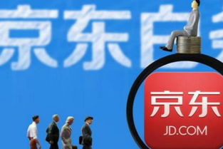 京东白条实物商品取现详解，操作指南、注意事项与案例分析
