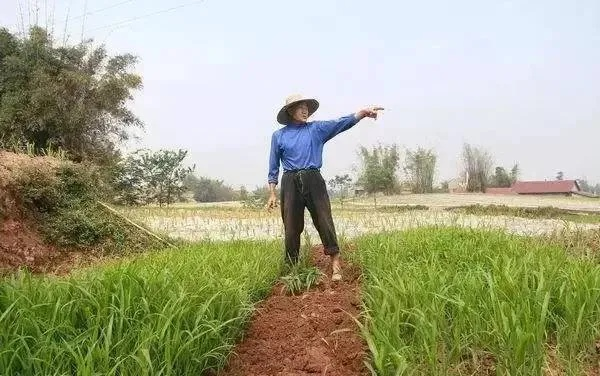 种地致富的步骤指南