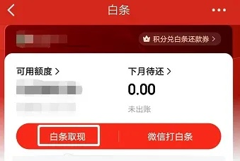 京东白条扫商家码提现攻略