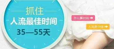 地毯除菌，价格大揭秘！一篇文章让你明明白白消费