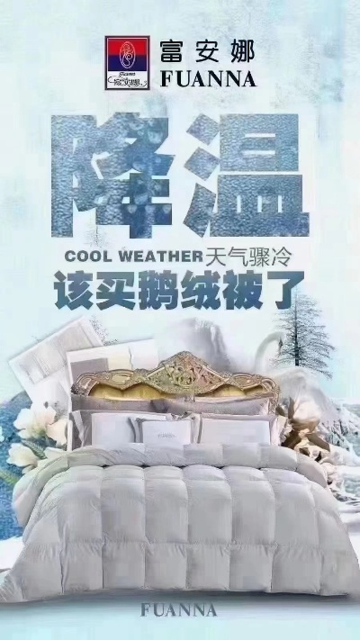 🎉超值清仓断码鹅绒被大促销，温暖冬日，尽享优惠！