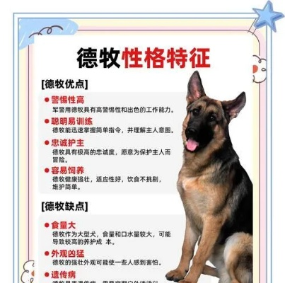 德牧粉证价格揭秘，一文带你了解德牧粉证的价值与获取途径