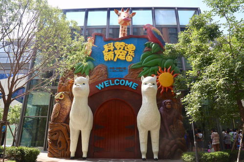禄劝萌宠游乐园，萌宠乐园里的欢乐时光之旅