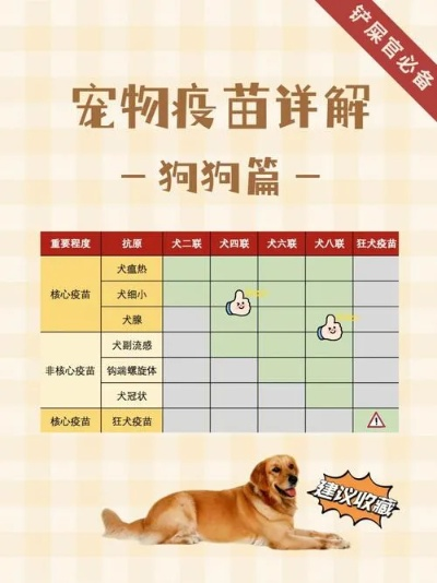 宠物疫苗价格大揭秘，了解不同疫苗的费用，为爱宠健康保驾护航