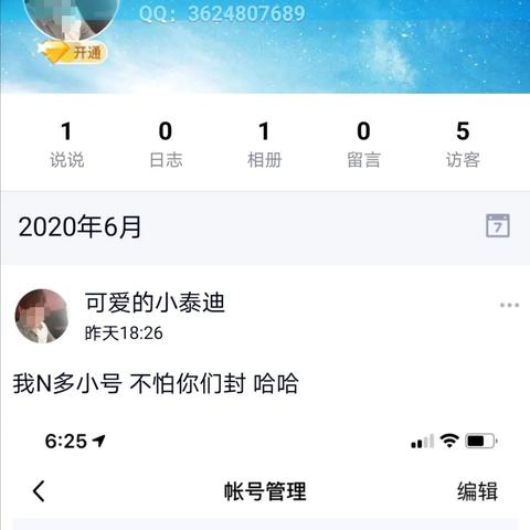 贵阳泰迪价格揭秘，不同品种、年龄、品质，价格大不同！