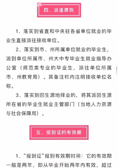毕业生就业证，你的职场通行证，作用大揭秘！