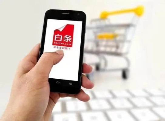 京东白条扫码套出来，揭秘套路与案例解析