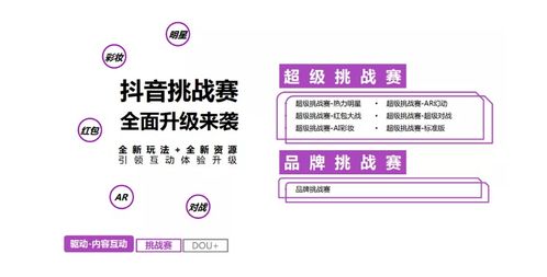 抖音月付靠谱提现详解，操作指南、注意事项与案例分析