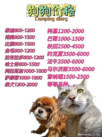 揭秘纯种柯基幼犬的价格之谜