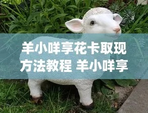 羊小咩享花卡取现全攻略,手把手教你避坑不踩雷 羊小咩享花卡取现全攻略,手把手教你避坑不踩雷