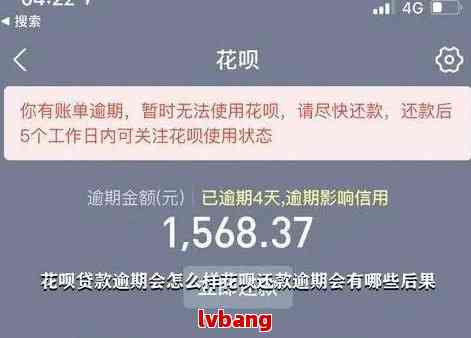 文曦花呗提现全攻略，手把手教你安全提现，附避坑指南和真实案例