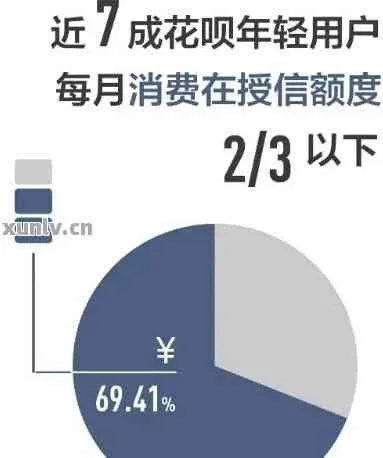 关于花呗兑现的探讨,风险、操作与案例解析 关于花呗兑现的探讨,风险、操作与案例解析