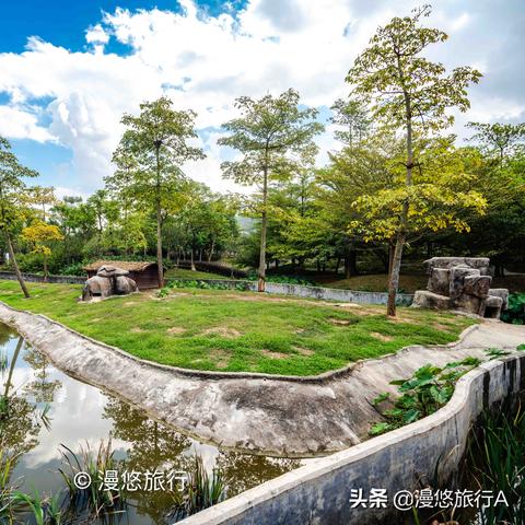 打造森系萌宠乐园，让萌宠与自然共舞的乐园设计攻略