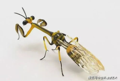 玻璃昆虫玩具大盘点，品牌、特点与选购指南