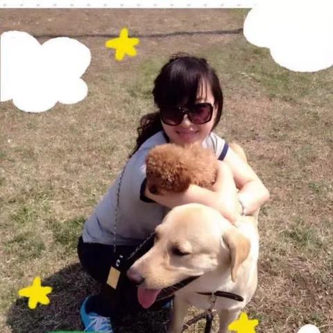 揭秘拉布拉多成犬体重之谜，多少斤才是标准？