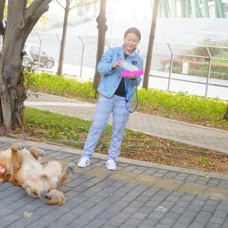深圳萌宠乐园大盘点，带上萌宠一起欢乐畅游！