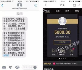 京东白条提现攻略，快速掌握操作技巧