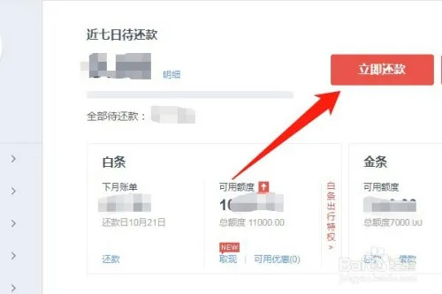 京东白条任性付套出来攻略 京东白条任性付套出来攻略