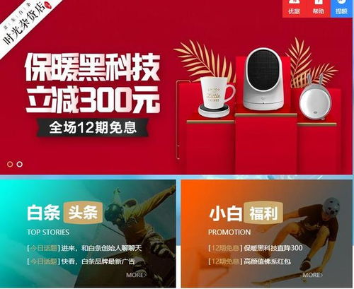 京东白条套取攻略,解锁金融新姿势 京东白条套取攻略,解锁金融新姿势
