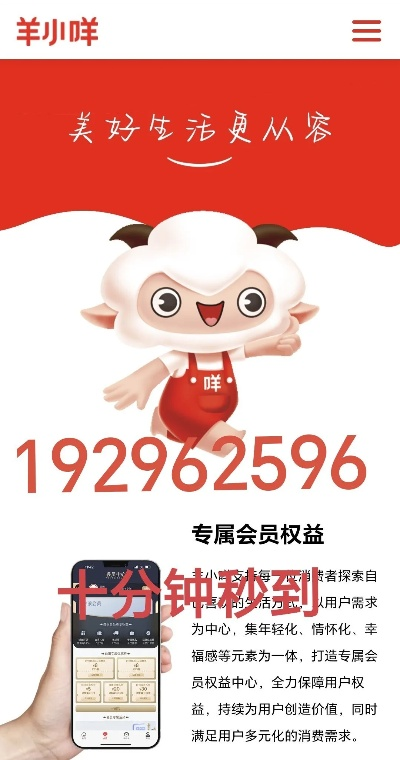 如何羊小咩享花卡提现大额现金? 如何羊小咩享花卡提现大额现金?