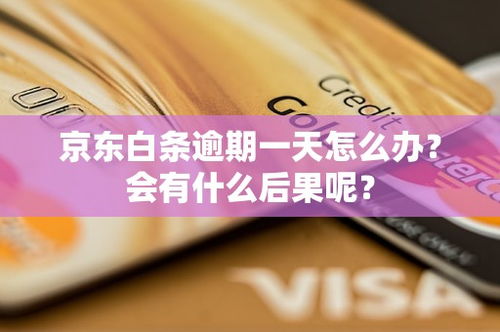 京东白条取现消失的调查与应对措施 京东白条取现消失的调查与应对措施