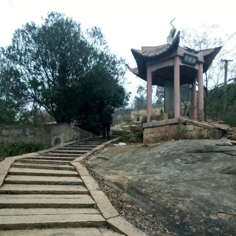 温州水文监测站视频揭秘，守护城市水资源安全的重要一环