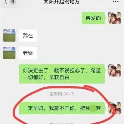 揭秘公安网查开房记录，如何操作？注意事项及案例分享