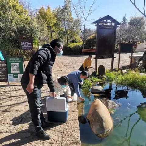 水文监测揭秘水质变化—案例分析与深度解读 水文监测揭秘水质变化—案例分析与深度解读