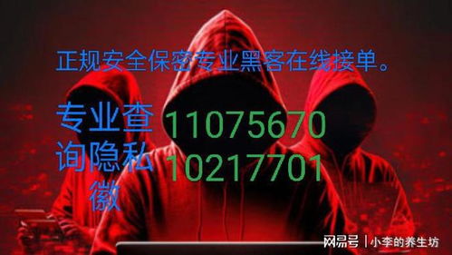 揭秘查房网，如何轻松查开房记录，掌握最新动态