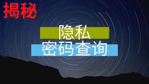 揭秘免费查开房，揭秘隐私背后的秘密与风险