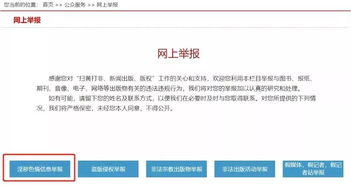 揭秘姓名查开房网址,隐私保护与网络安全的双重挑战 揭秘姓名查开房网址,隐私保护与网络安全的双重挑战