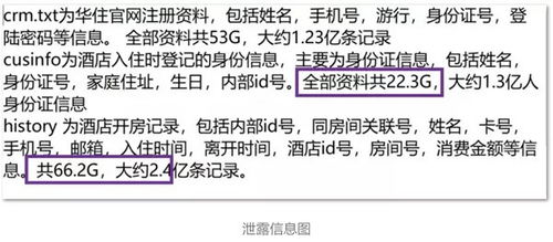 揭秘查酒店开房记录软件,隐私的守护者还是窥探的工具? 揭秘查酒店开房记录软件,隐私的守护者还是窥探的工具?