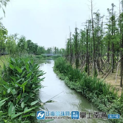 界河水文监测设计公司案例解析与未来展望 界河水文监测设计公司案例解析与未来展望