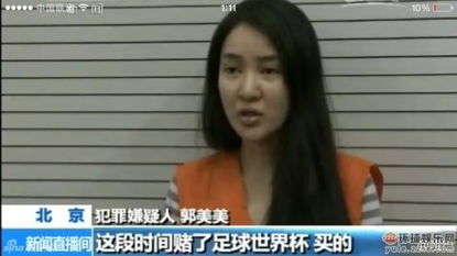 揭秘开房记录查询价格,揭秘隐私查询背后的真相 揭秘开房记录查询价格,揭秘隐私查询背后的真相