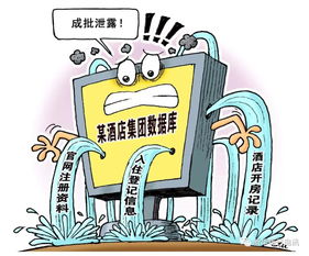 揭秘警察能否查开房记录,隐私与安全的平衡点 揭秘警察能否查开房记录,隐私与安全的平衡点