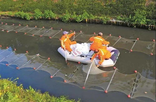 崇阳县水文监测图揭秘,一图读懂水资源动态 崇阳县水文监测图揭秘,一图读懂水资源动态