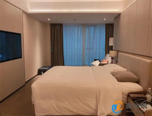 揭秘宾馆开房记录，隐私保护与安全监管的平衡之道