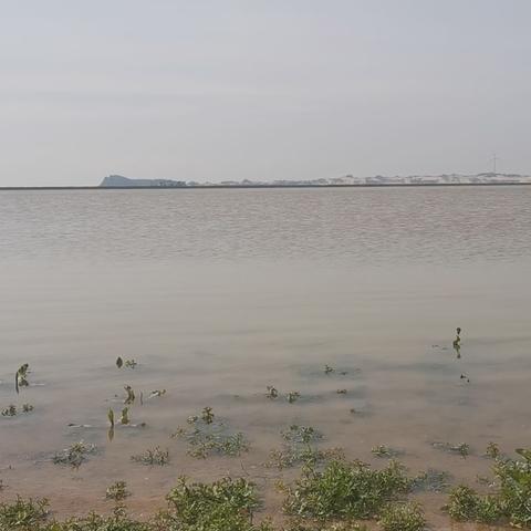 水文监测项目中的水位流量监测—案例分析与深度探讨 水文监测项目中的水位流量监测—案例分析与深度探讨