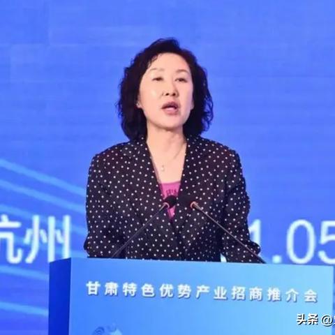 揭秘宾馆开房信息，如何查询、注意事项及案例分享