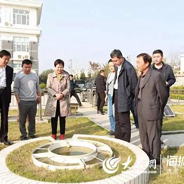 莒县水文雨量监测所所长工作报告 莒县水文雨量监测所所长工作报告