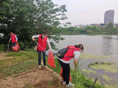守护河流健康—保护水文监测环境的措施与案例解析