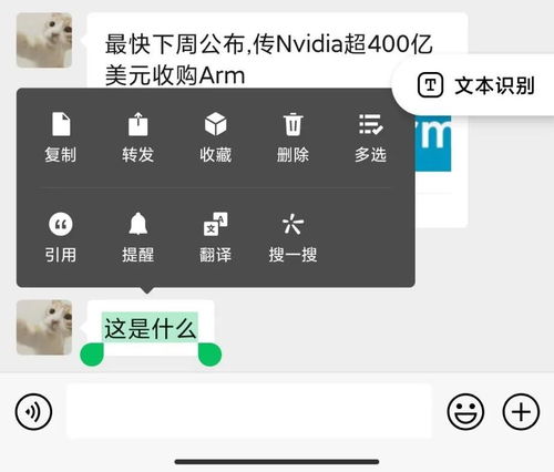 微信好友已删聊天记录,揭秘如何查看那些消失的对话 微信好友已删聊天记录,揭秘如何查看那些消失的对话