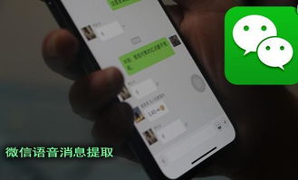微信聊天记录文件大揭秘,如何轻松查找你的历史聊天记录 微信聊天记录文件大揭秘,如何轻松查找你的历史聊天记录