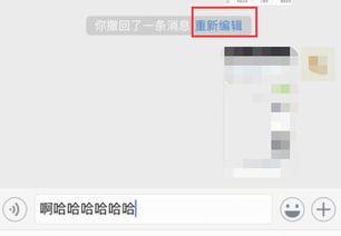 微信聊天记录文件大揭秘，如何轻松查找你的历史聊天记录