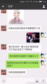 那些逝去的聊天记录，能否再次重温？