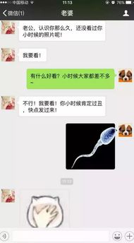 揭秘微信聊天记录的秘密,如何合法查别人的微信聊天? 揭秘微信聊天记录的秘密,如何合法查别人的微信聊天?
