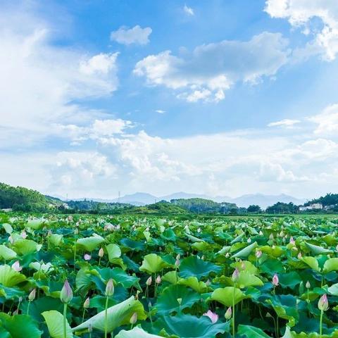 韶关水文监测招聘公告 韶关水文监测招聘公告