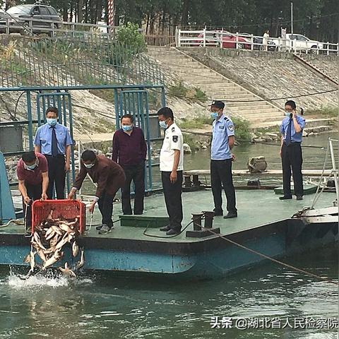 私自开展水文监测的处罚制度详解